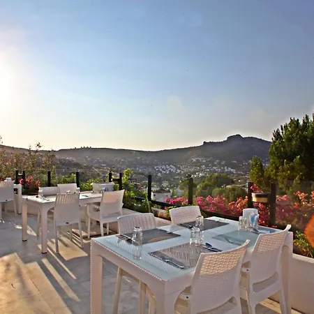 فندق Turkbuku Hill موجلا
